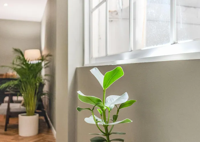 Konukevi Hygge House 4*