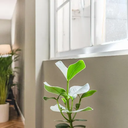 Maison d'hôtes Hygge House 4*