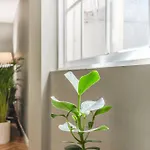 Pensión Hygge House 4*